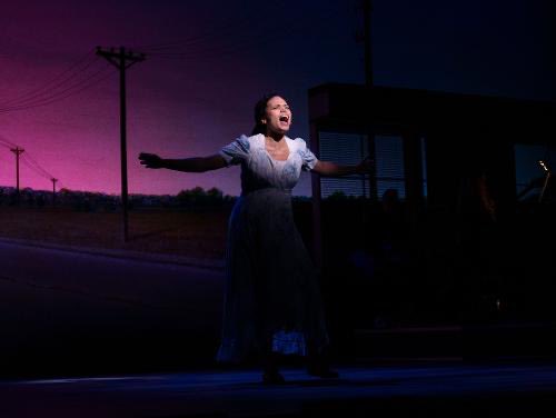 WaitressMusical's tweet photo. We are heartbroken to announce that Waitress on Broadway will be closing effective immediately. https://t.co/89wHEZkX5c