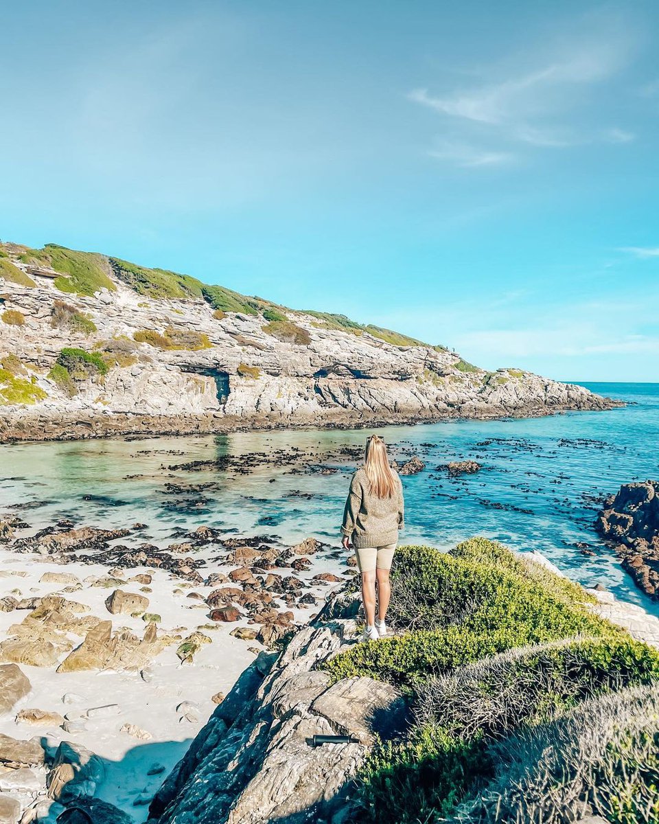 SouthAfricaANZ's tweet photo. South Africa has the third-longest coastline on the African continent &amp; spans across two oceans. So, it's no wonder Jen &amp; Rudolph fell in love with this coastal reserve, calling it one of their new fav spots 😍

📍: Walker Bay Nature Reserve, Western Cape

📷: themarriedwanderers https://t.co/KnncVCqb2A