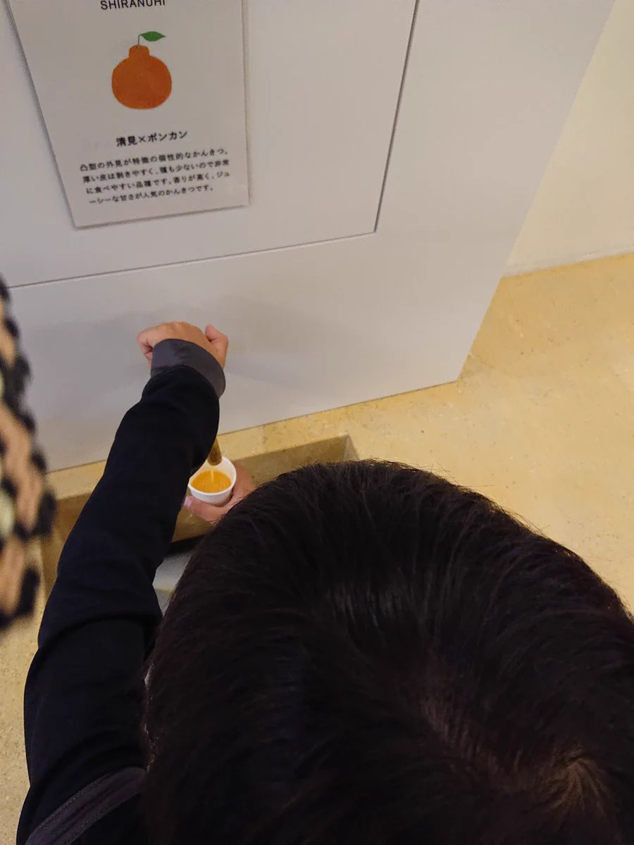 とにかく子供たちが大喜び！
次もここが良いそうです。☺️
みかんジュースの蛇口の前を通る度に家族で飲み比べが始まってしまう～。🤭  