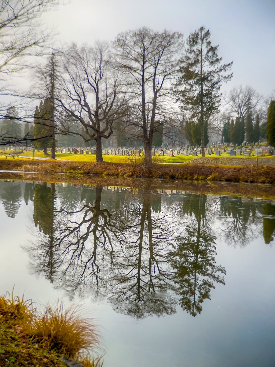 Aroldo Lodolini tweet media