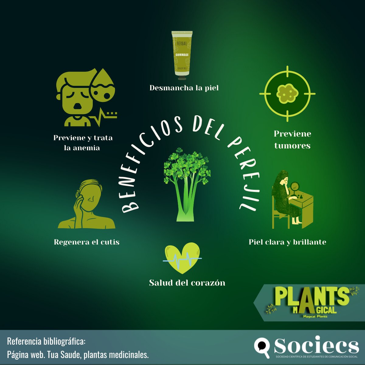 En este maravilloso día pensamos que necesitarías conocer los beneficios  del perejil y ajo🤩 #MagicalPlants #PlantasMedicinales #Sociecs  #TodosPorUnMundoMejor #Salud, image size:1200x1200