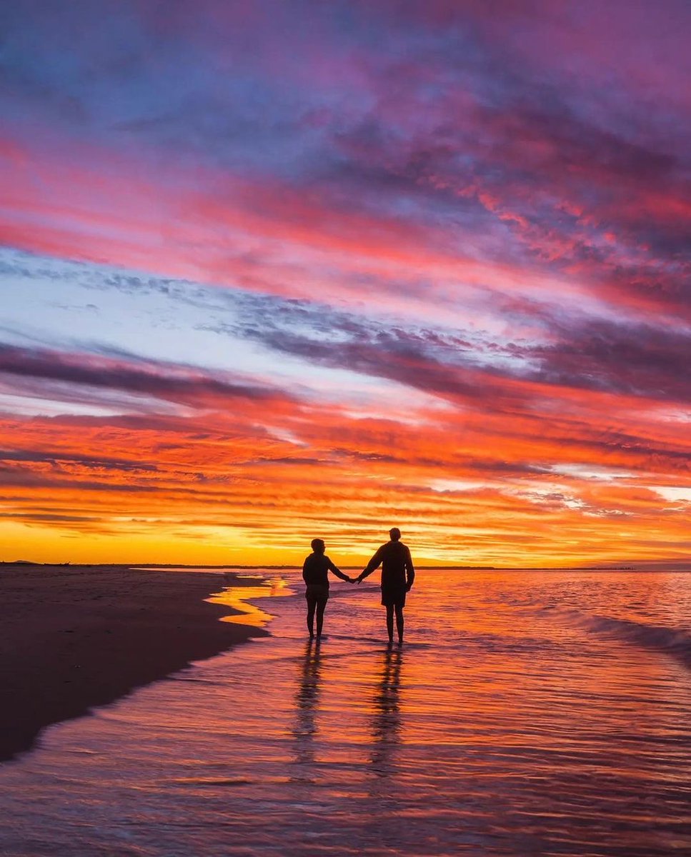 sunshinecoastoz's tweet photo. We are looking forward to connecting with our loved ones again this Christmas. If you've been dreaming of this moment too you won't want to #Inskip past this place, #InskipPoint is the perfect place to reconnect this Summer. π #12DaysofSunshine
#visitsunshinecoast by @_shanlea https://t.co/7WK0GiPoYd