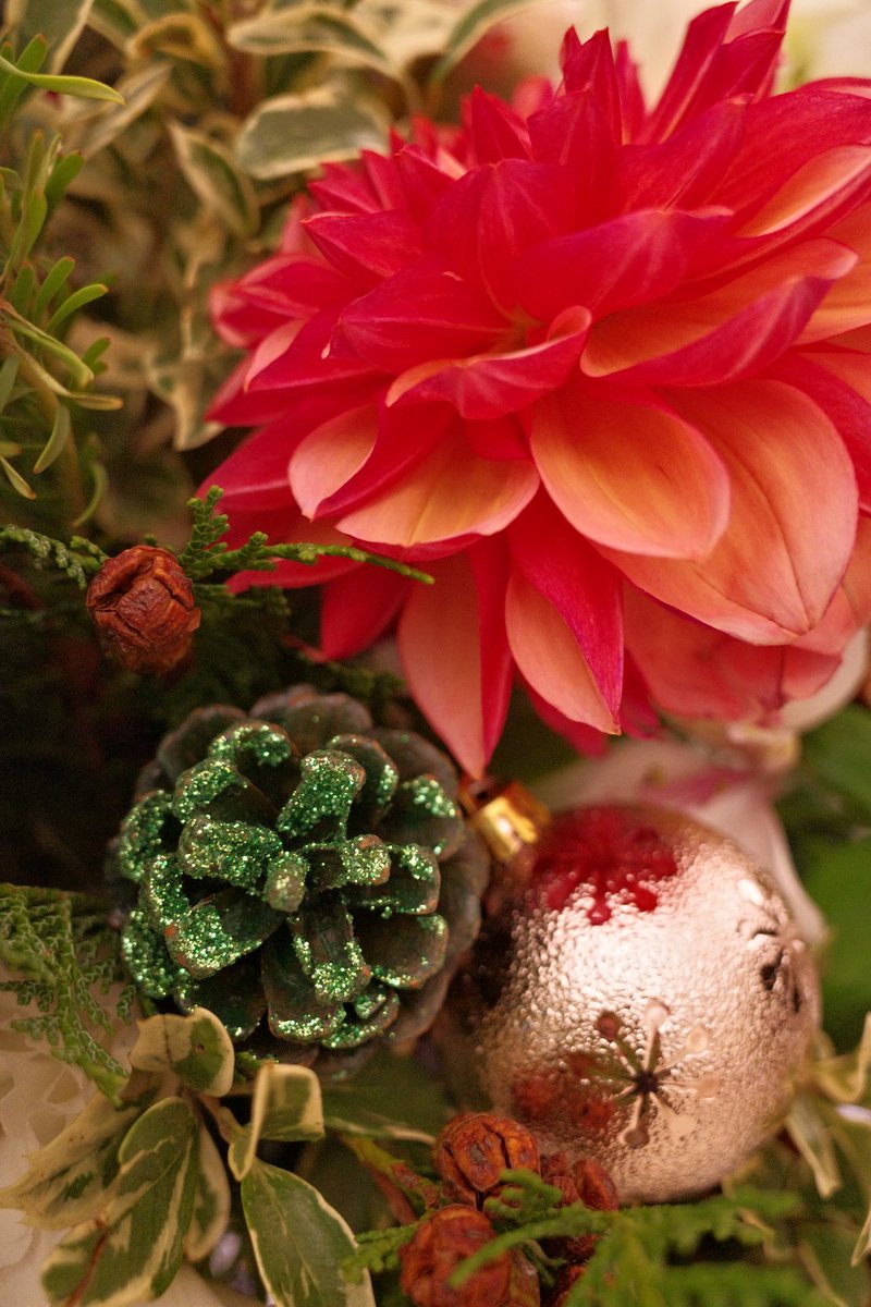 サンタさん until:2021-12-24_08_JST