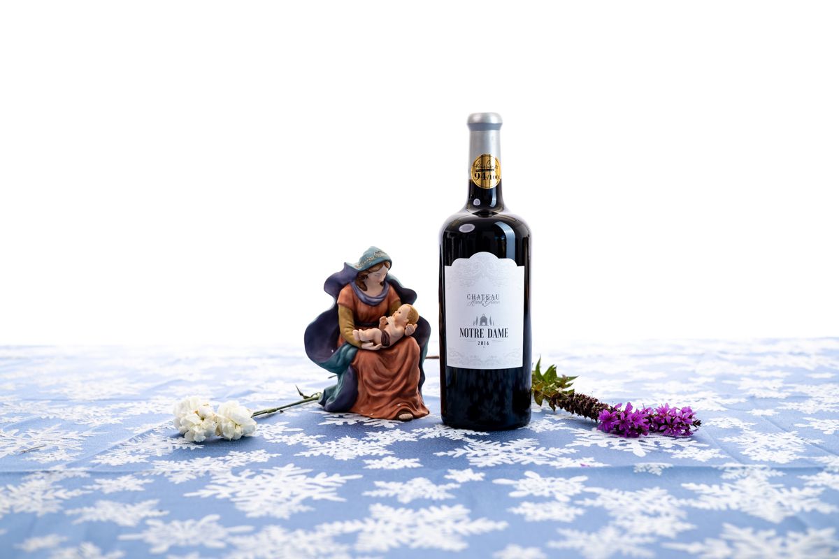 🎼 Silent Night, Holy Night 🎼 

"Notre Dame" means "Our Lady" in French, a memory of a dark night long ago, a special lady, and a special baby. 

Merry Christmas to all! May your hearts be filled with joy and hope this holiday season and always.