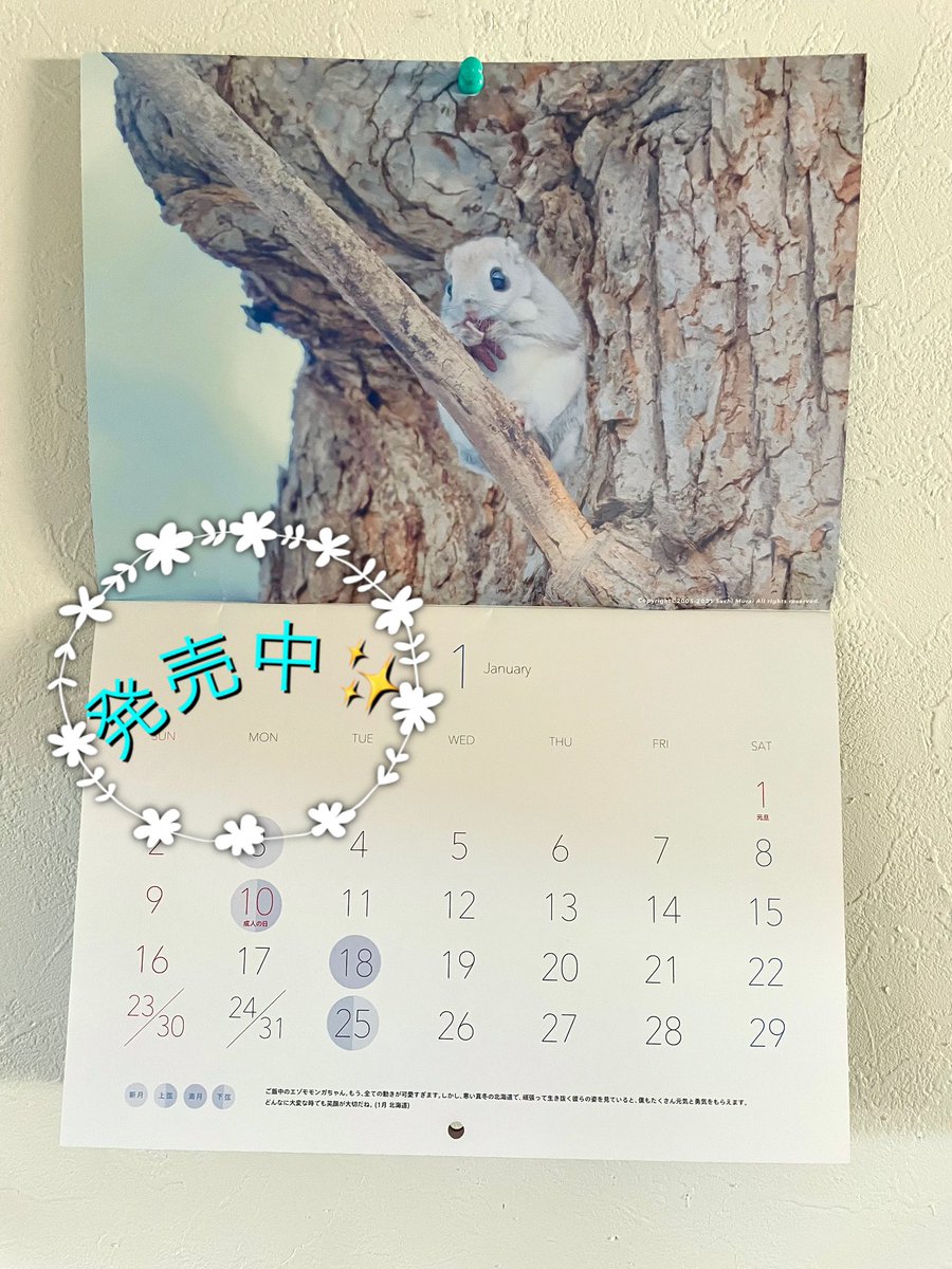 AlohaPhotoWorks's tweet photo. 【2022 むらいさちカレンダー「Life is Beautiful」】
写真家むらいさちの2022年度のカレンダー発売中です✨
アロハフォトショップ
https://t.co/x89eO2oL2n
#AlohaPhotoWorks
#MuraiSachi https://t.co/ditloEewe1