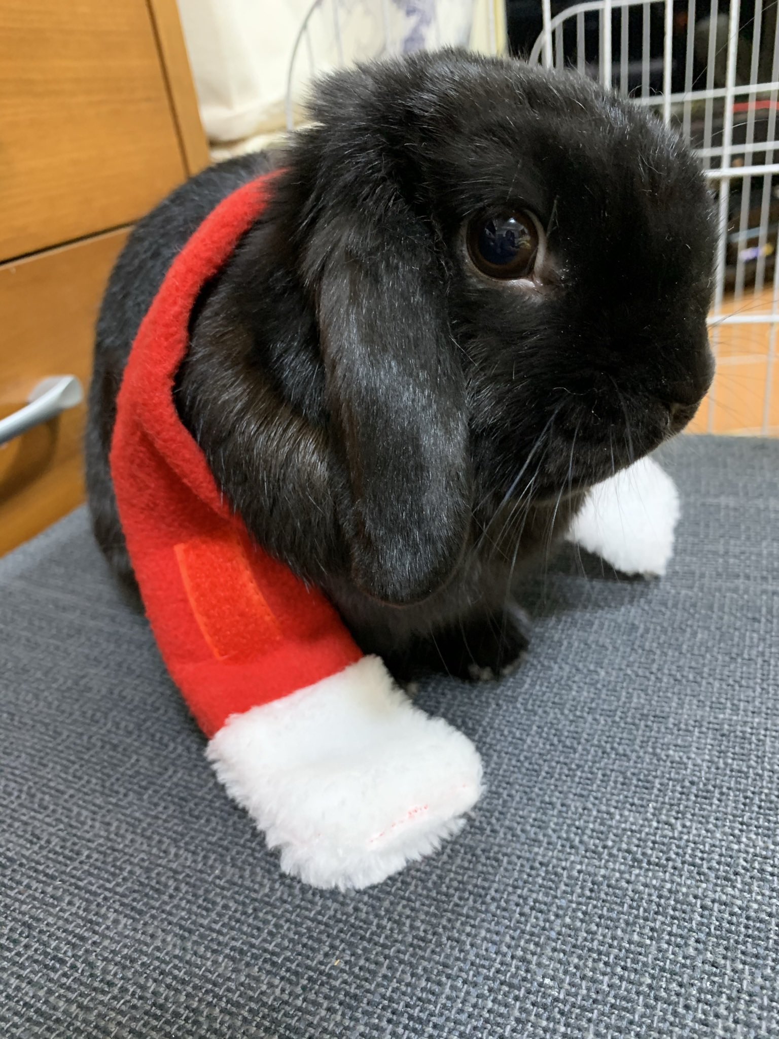 bon様オーダーページ 直販販売済み crsm.co.th