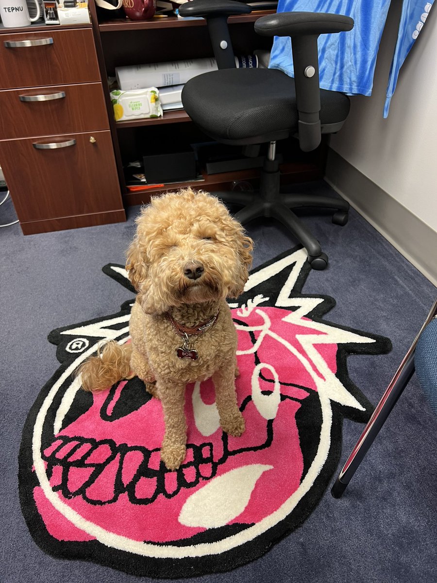 dkloungeNFT's tweet photo. Doggo found her new spot @BoredApeYC @thehundreds https://t.co/E2aJunHXfT