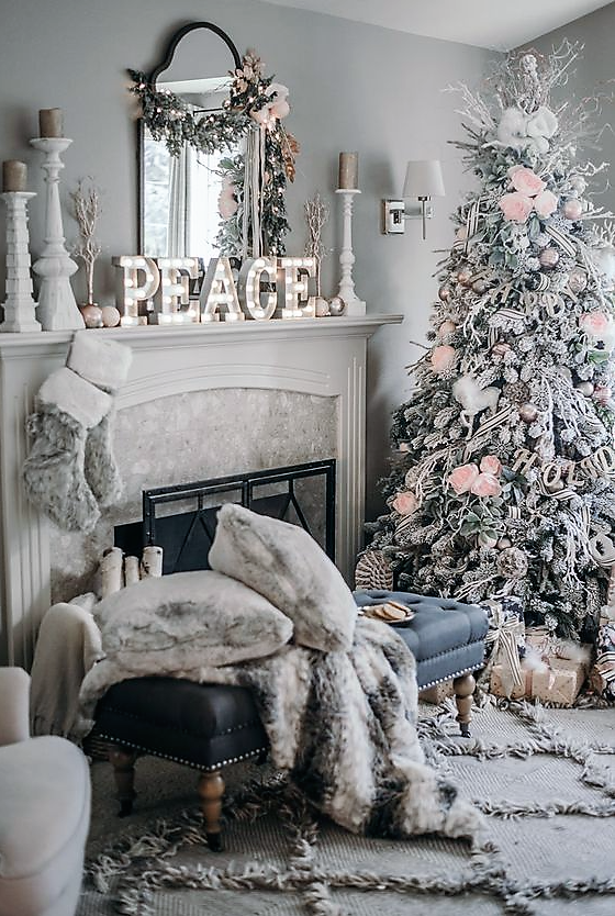 Pat Chan-Schatz tweet media