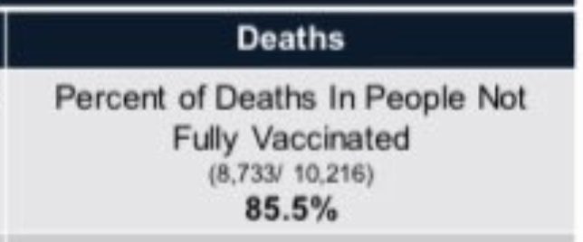 Swaz1's tweet photo. @YossiGestetner @IsaacDovere So you missed this stat? https://t.co/uFmr33vGln