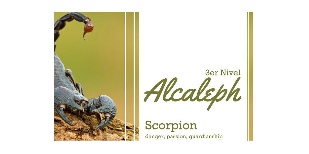 › 𝕮ampamento 𝕽ockwell. 〖33/40〗 tweet media