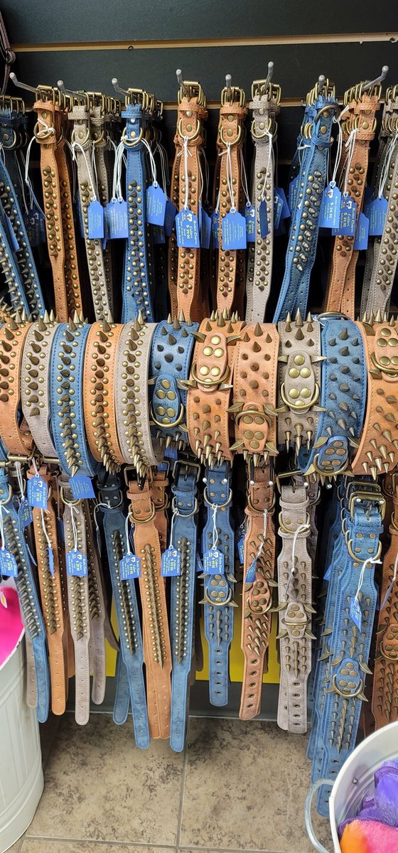 doggystyledeli's tweet photo. Buy 1 get the second for 50% off.  All collars on sale except for the chain leashes and collars. 
#dogsoftwitter 
#DogsofTwittter https://t.co/KR5RtIDkm8