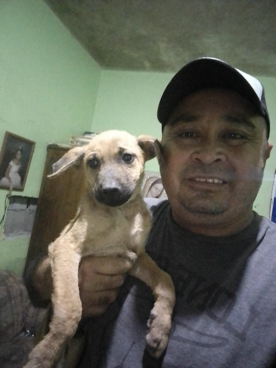 JorgeJaime_1's tweet photo. Se acuerdan de el perrito que fui a buscar ayer pues ya lo tengo conmigo tiene sarna pero lo sacare adelante ya verán cuando lo vean sano no lo van a reconocer bendiciones para tod@s https://t.co/aqX2sjy7iY