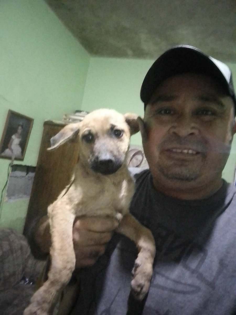 JorgeJaime_1's tweet photo. Se acuerdan de el perrito que fui a buscar ayer pues ya lo tengo conmigo tiene sarna pero lo sacare adelante ya verán cuando lo vean sano no lo van a reconocer bendiciones para tod@s https://t.co/aqX2sjy7iY