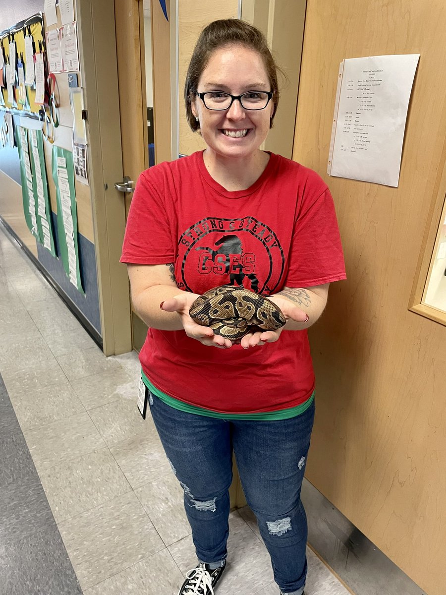 MtValleyMcKenna's tweet photo. Before we close the door on 2021, I feel it is important to let Twitter know that I conquered a fear and held @PepperCSES’s class pet before the year was over! @ClearElementary #babysteps https://t.co/ZgMbIT7w5J