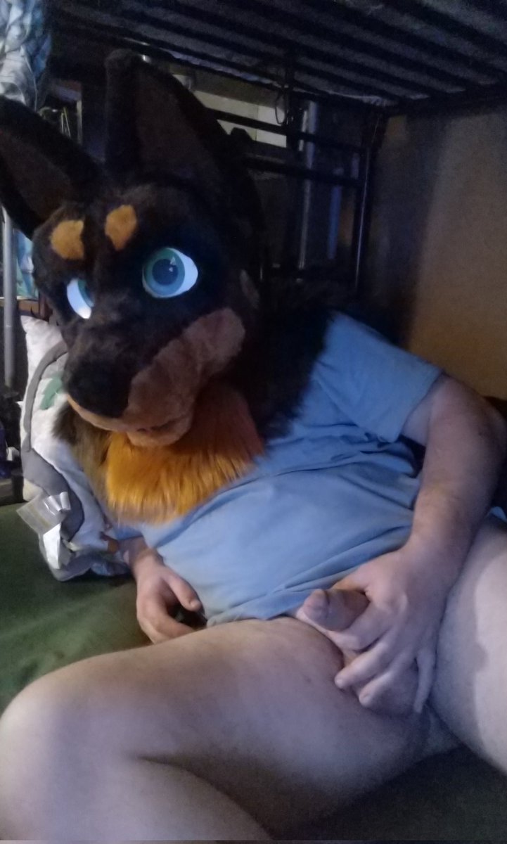 wolfpupsilver's tweet photo. New suit, who dis? https://t.co/GYwQ3rS9jA