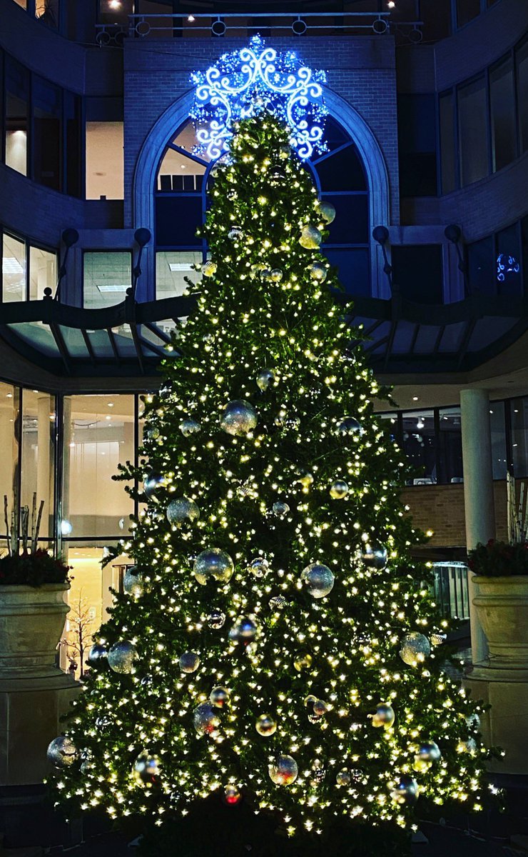 8nhj_'s tweet photo. Christmas Evening 🎄! https://t.co/H5nxUFeb0m