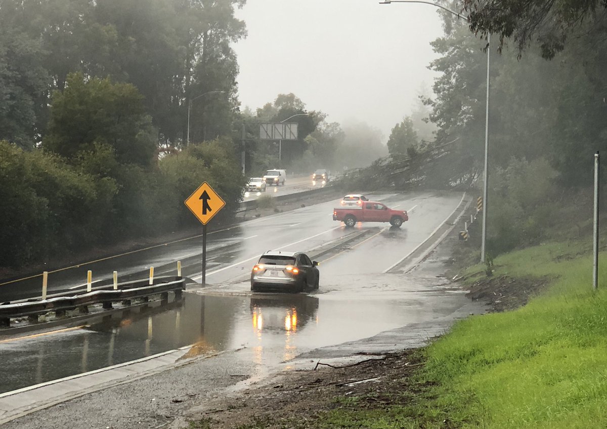 JCsupernova's tweet photo. Large #eucalyptus #tree #falls across #Highway #ThisMorning in #Oakland blocking #traffic on #highway13 for hours #northbound during #rainstorm https://t.co/wAxUojJLD2