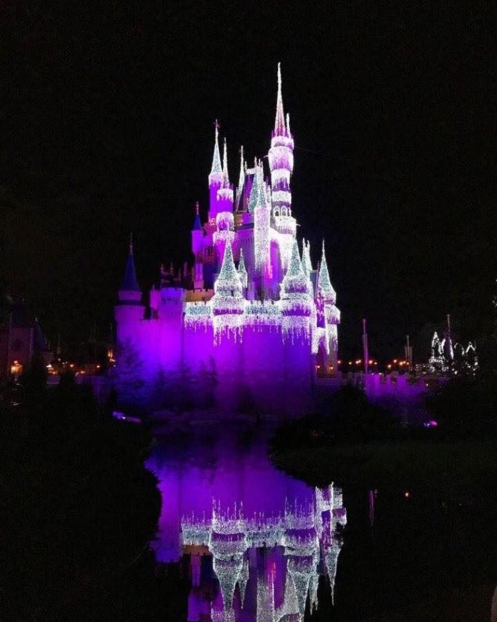 MickeyTips tweet picture