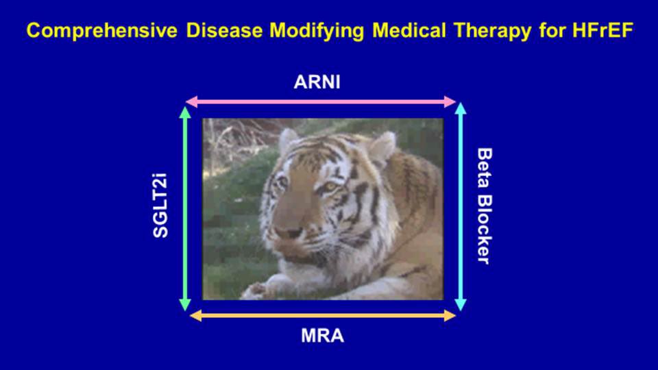 HF can be like a tiger

When it strikes it can be with deadly force

Want to build a cage around the tiger to optimally protect your patient?

Need all 4 sides to the cage right from the start

Get With The Guidelines…or get eaten