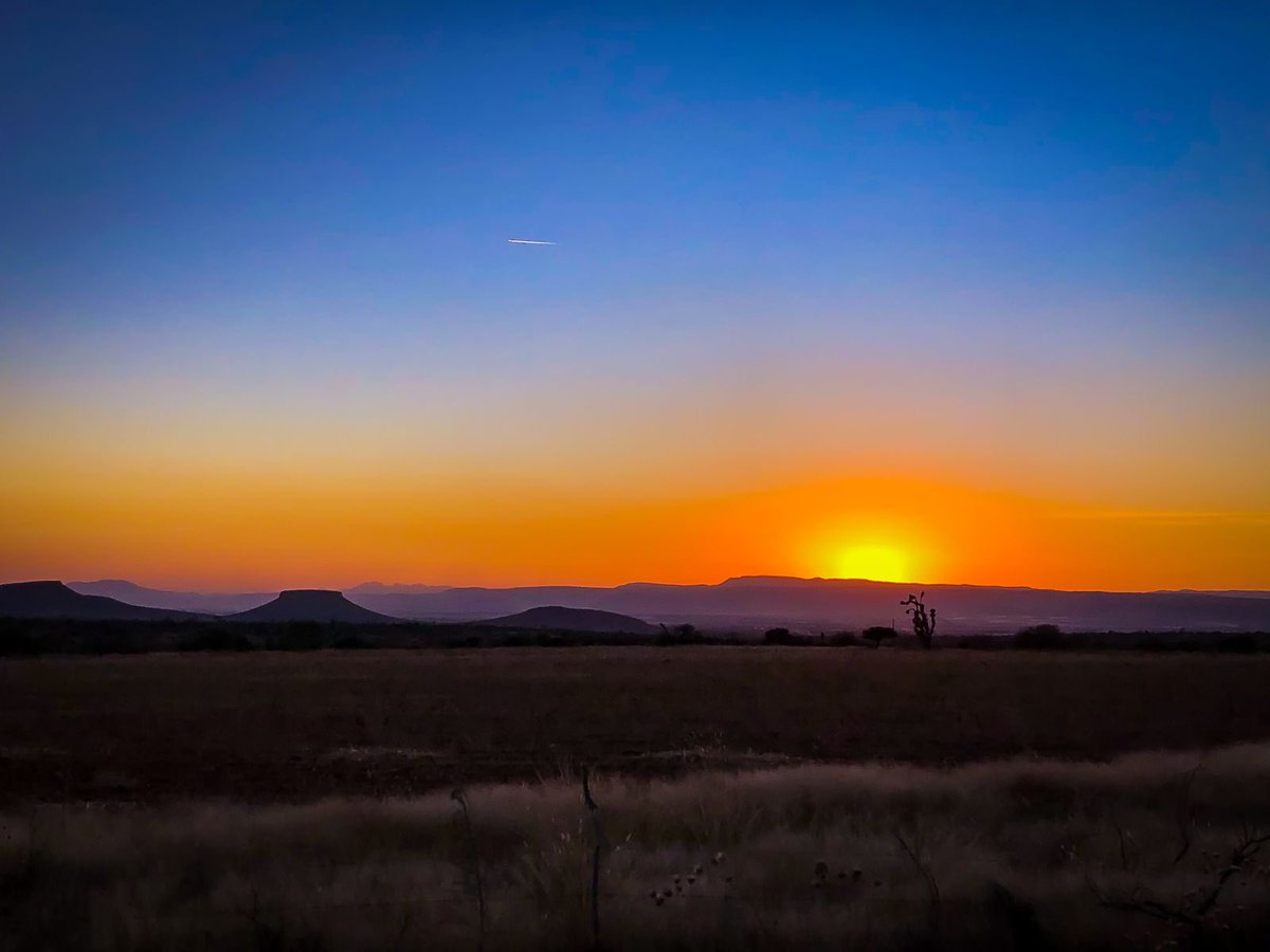 TereJimenezE's tweet photo. Les comparto esta bonita postal del atardecer que nos tocó ver camino a San José de Gracia. 😍 https://t.co/icPo7hs2Il