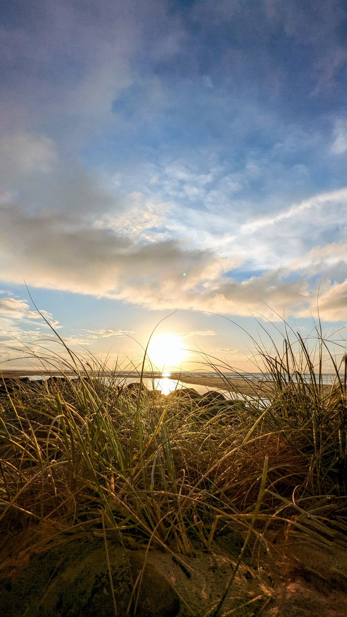 Pixel6Pics's tweet photo. Sea grass shot on the pro

#teampixel #madebygoogle #Pixel6Pro #seagrass #caloundra #qlder #bulcock https://t.co/n8IlcVyIJZ