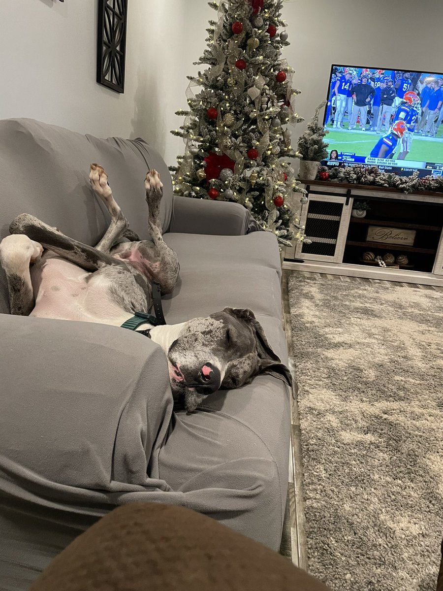 RandyMarion30's tweet photo. He just doesn’t enjoy college football as much as I do. @NCAAFootball https://t.co/1Fwk2PI3xb