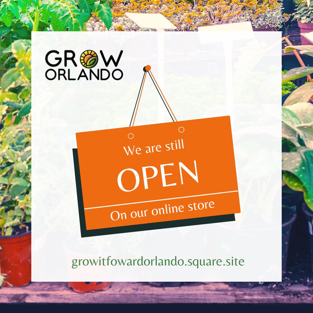 Grow_Orlando's tweet photo. The #farmersmarket at the @StLukesOrlando #microfarm is closed until a later date in January. However, the online store is still open, accepting orders, and available for pick up times. Head to https://t.co/6R4sQ8EsUh to see all of our available produce! #urbanfarm #urbanfarming https://t.co/Kp8L2bQOlk