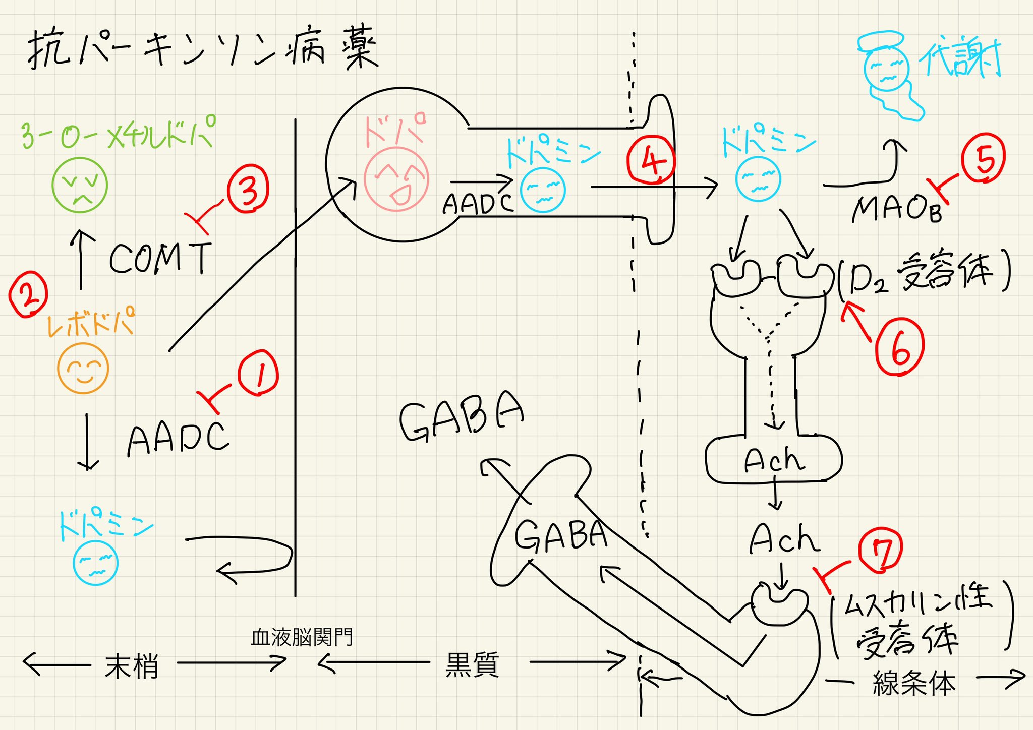 薬学生の神まとめ Yakugaku Matome Twitter