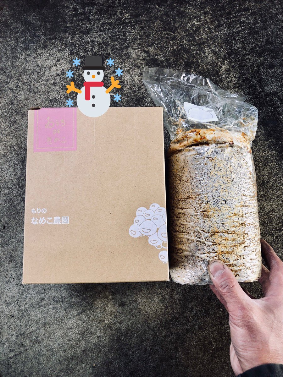 p_pxxx's tweet photo. 自分への🎄🎁
久しぶりに挑みます🍄
#Ppvegetable https://t.co/hSXWWeiLdd