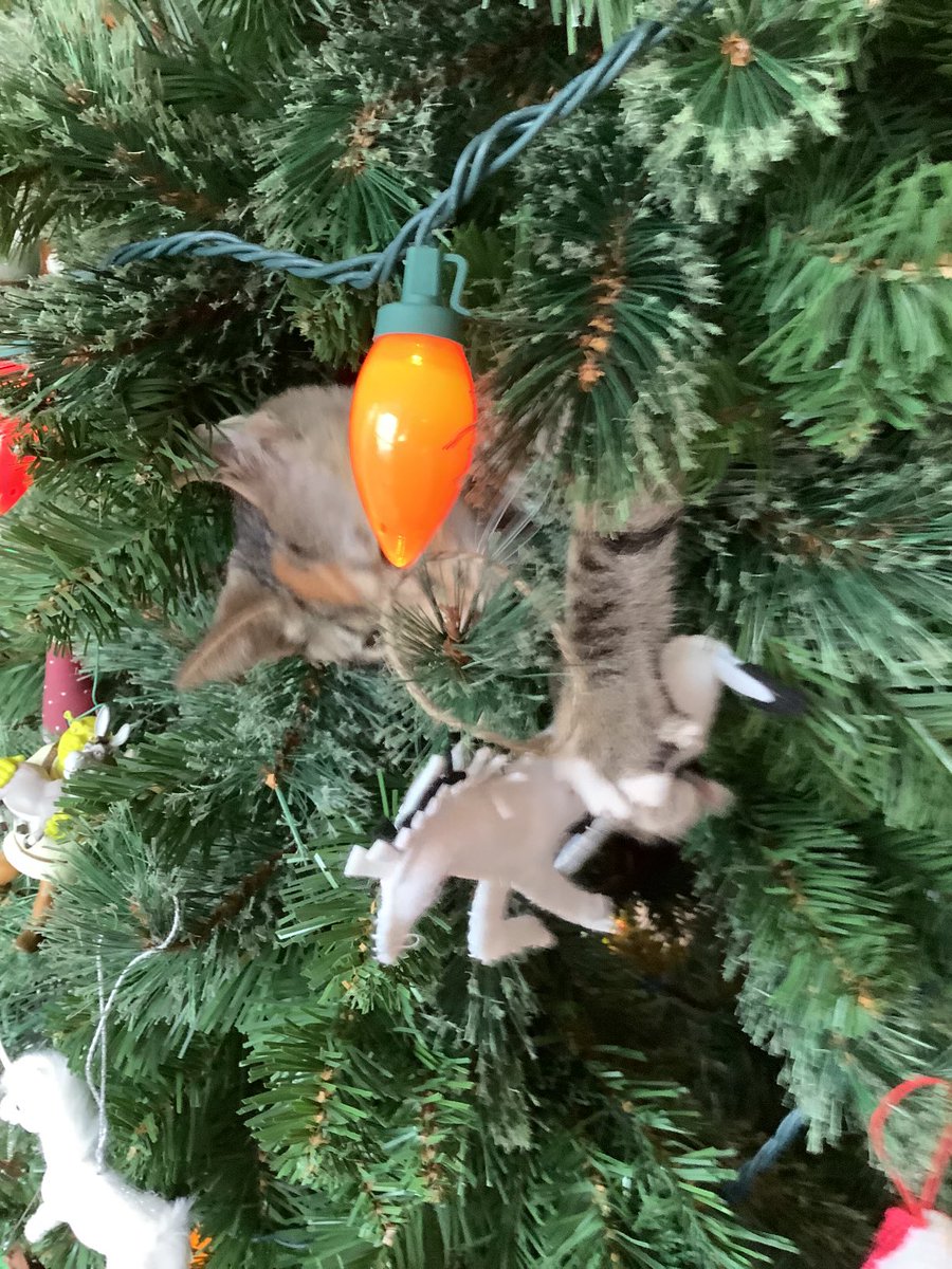 Dan Jiggetts (@danjiggetts) on Twitter photo 