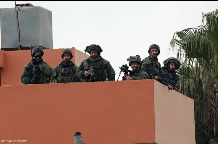 🇵🇸#FreeThemAll tweet media