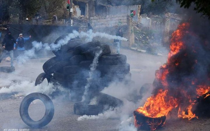 🇵🇸#FreeThemAll tweet media