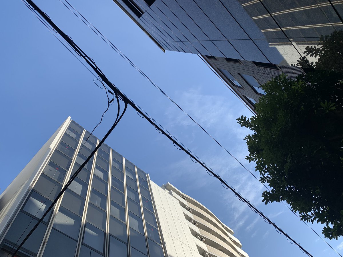 psq_programming's tweet photo. 五反田は☀️晴れ☀️
今日も元気に学びを届けてまいります(＾ｰ^)
宜しくお願��致します💻🖥

#プログラミング  #ロボット #マインクラフト #lego #五反田 #psqsmalltrain #国語 #算数 #理解 #社会 https://t.co/vOQbKnlgNQ