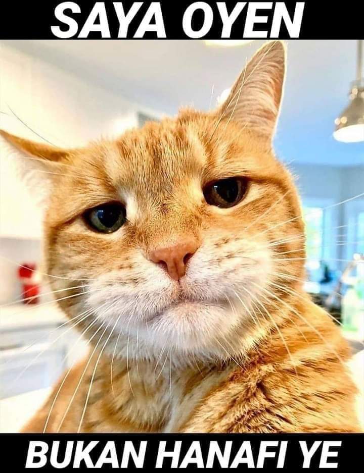 pandalicious18's tweet photo. 😂😂 https://t.co/aGxv3BZJoy