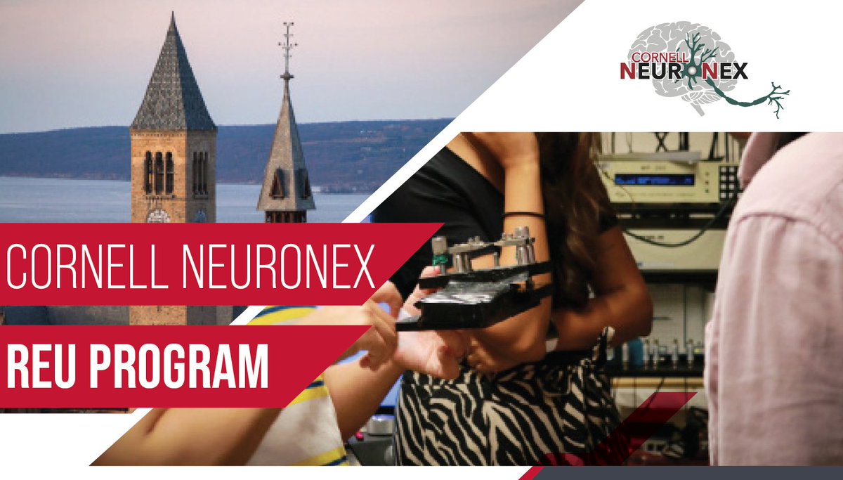 Cornell NeuroNex Technology Hub tweet media