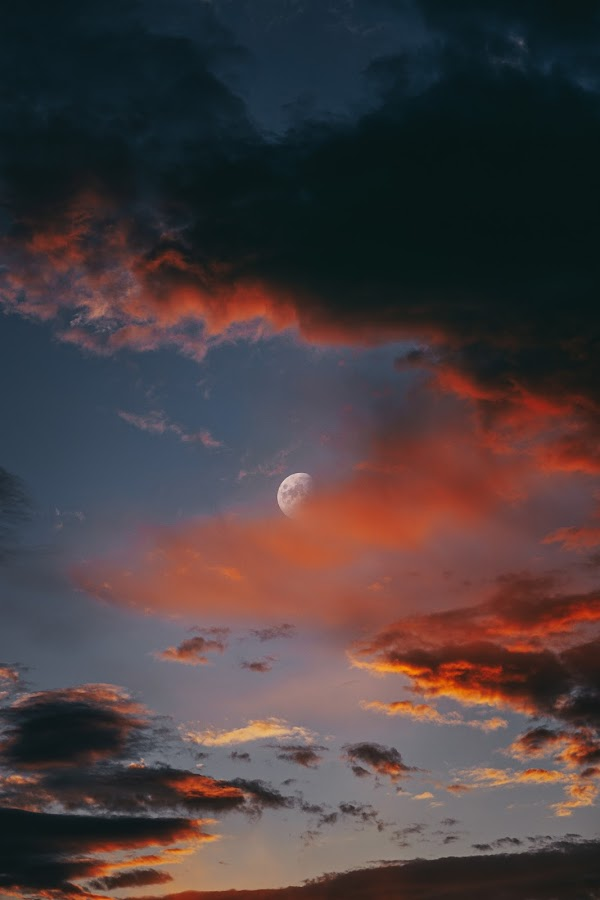 TravelToucans's tweet photo. ✈️#NFTGiveaway✈️

#NFTcommunity member supported is @bryanminear!

#NFT titled "Hidden Amongst the Clouds" - a reminder to shoot for the moon with your #travel dreams

To Enter:
🌎LIKE, RT, Tag some frens
🌏Follow @TravelToucans &amp; @NewNFTguy 

📍Est. Value US$125+ #NFTGiveaways https://t.co/nrM2ox2YVE