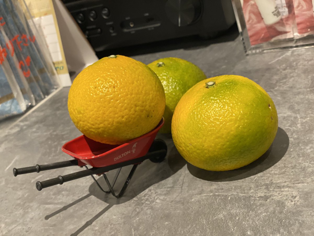 FoodAndPlace1's tweet image. またまた頂きました！次は柑橘類🍊
Sweet Spring、ご存じですか？
ハッサクと温州みかんを掛け合わしたものだそうです。
非常にサッパリとした美味しさで、初めて食べる味でした。
ごちそうさまでした🤲
#Sweetspring