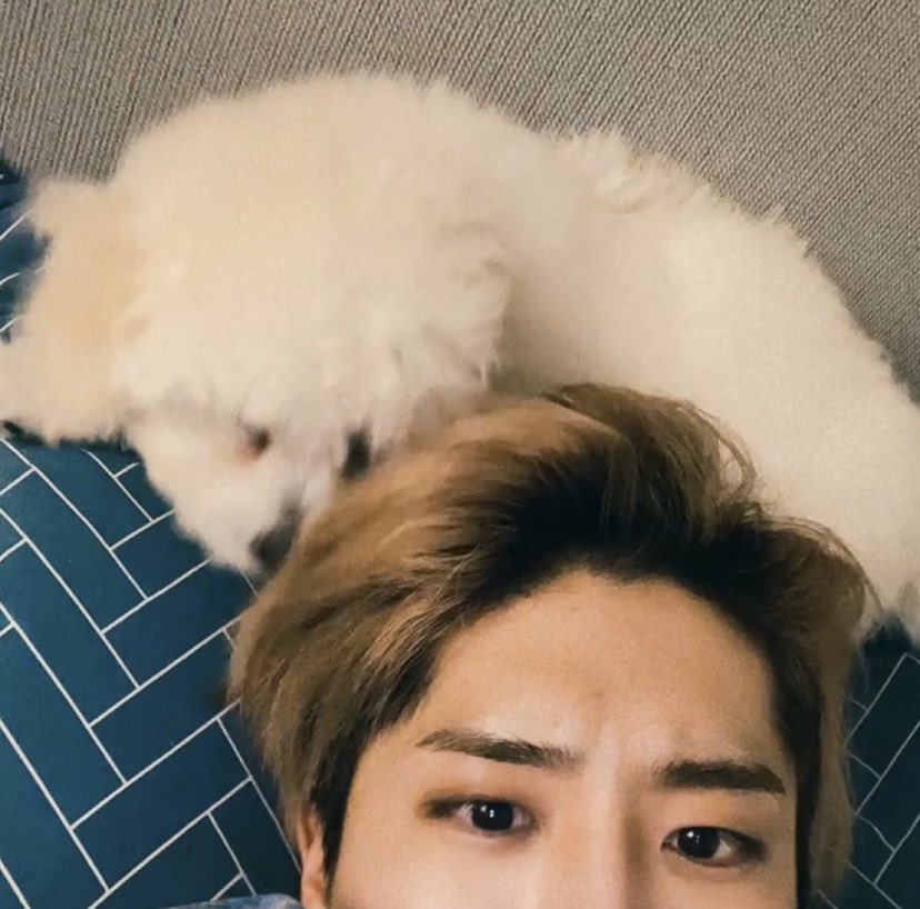 tl cute nung aso ko oh!
