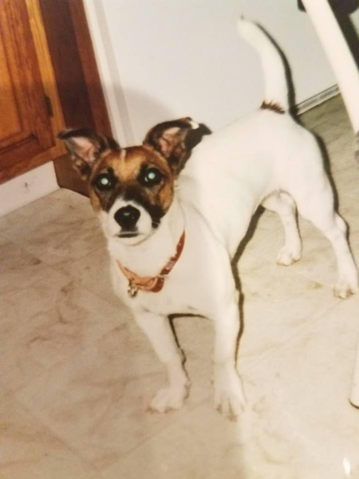 SierraLyn4's tweet photo. My boy… I sure do miss you 👼🏻 https://t.co/35EPexZ06O