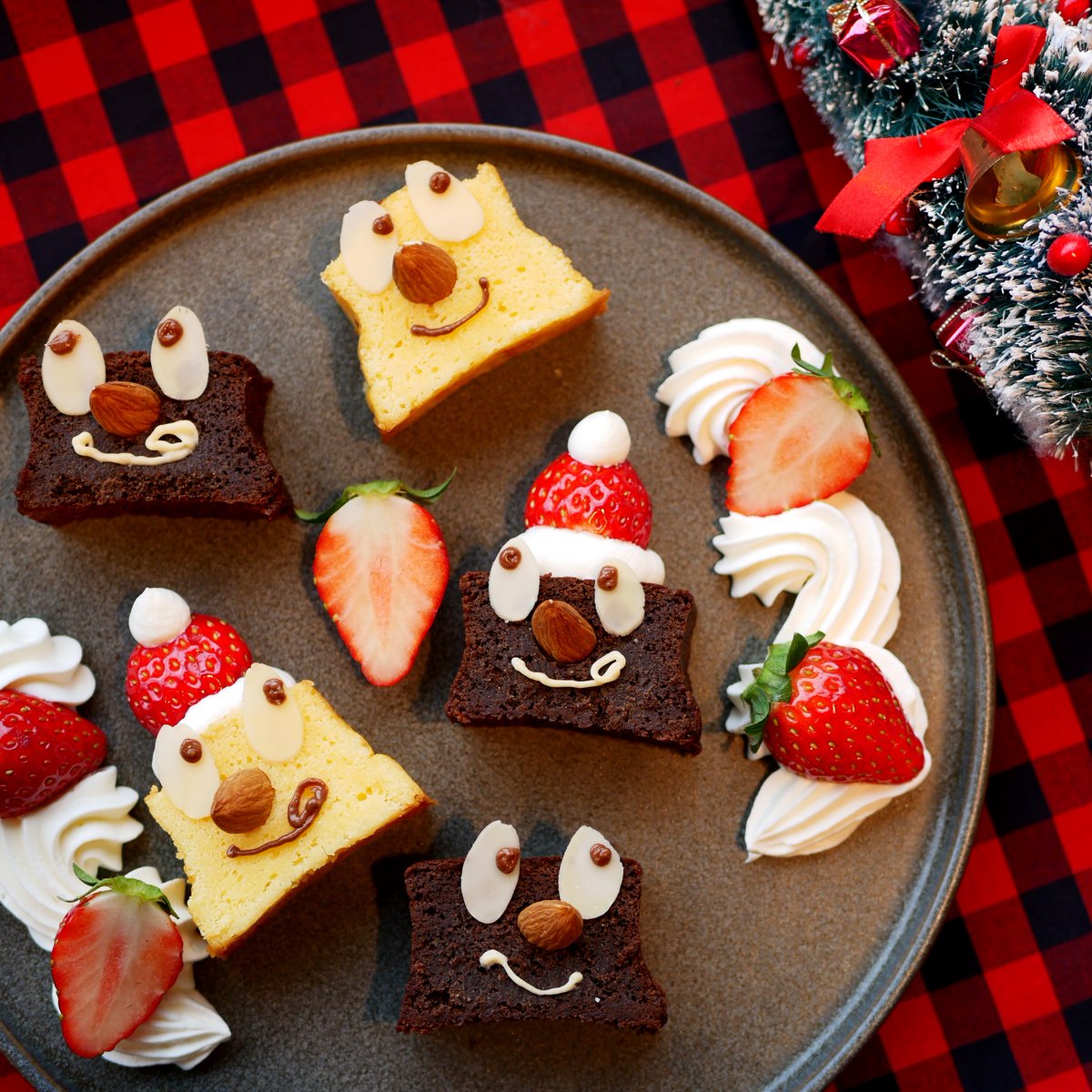 ポロショコラ【公式】ラグノオ🍫 tweet media