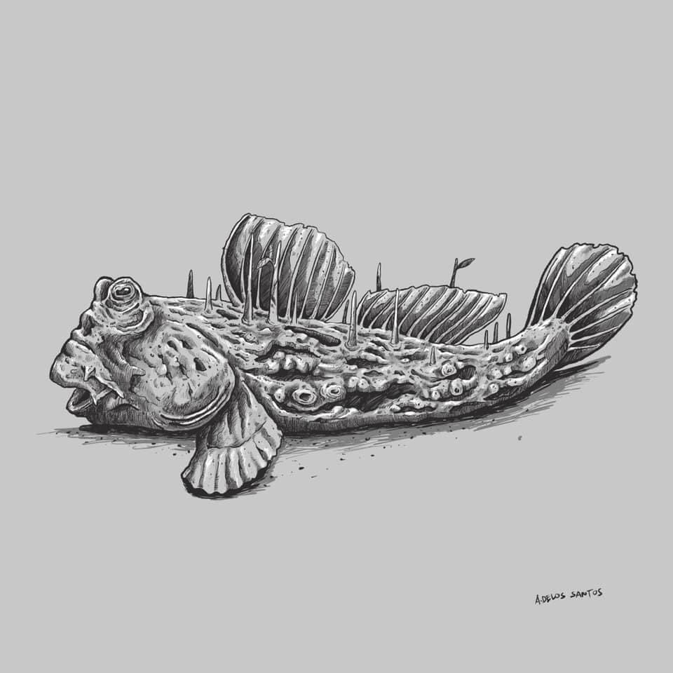 Mangrove series 2/8 
#illustration #art #blacklineart #visualart #procreate #NFT #nftart #nftcollector #NFTartist