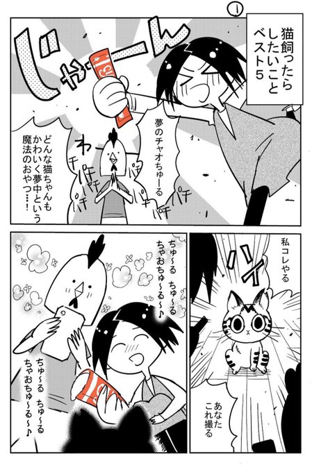 3本足の猫がうちの子になるまで③ 