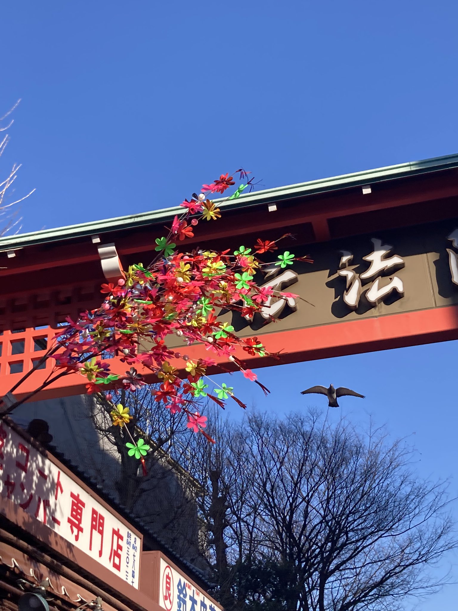 海子 Ngb9dterya7kjht Twitter