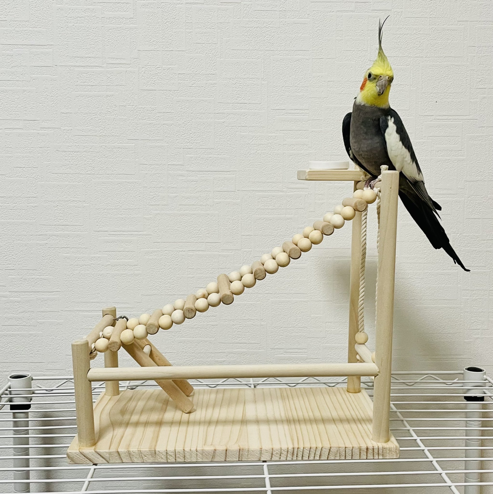 3080BIRDSハンドメイド作家 (@mido_haro) / X