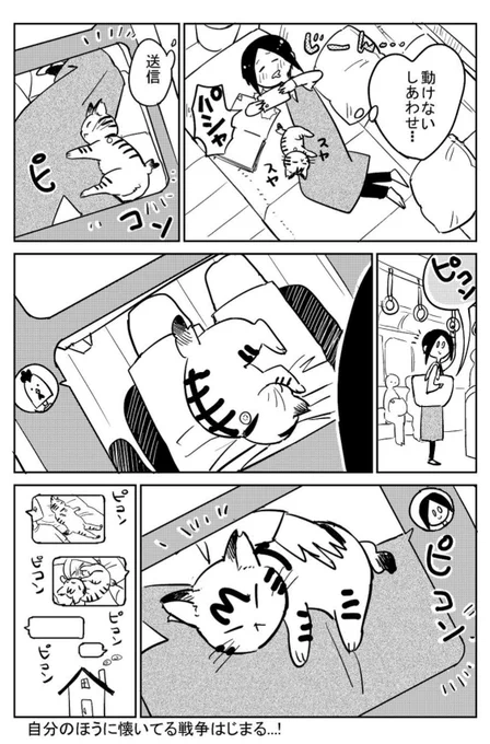 3本足の猫がうちの子になるまで⑧ 