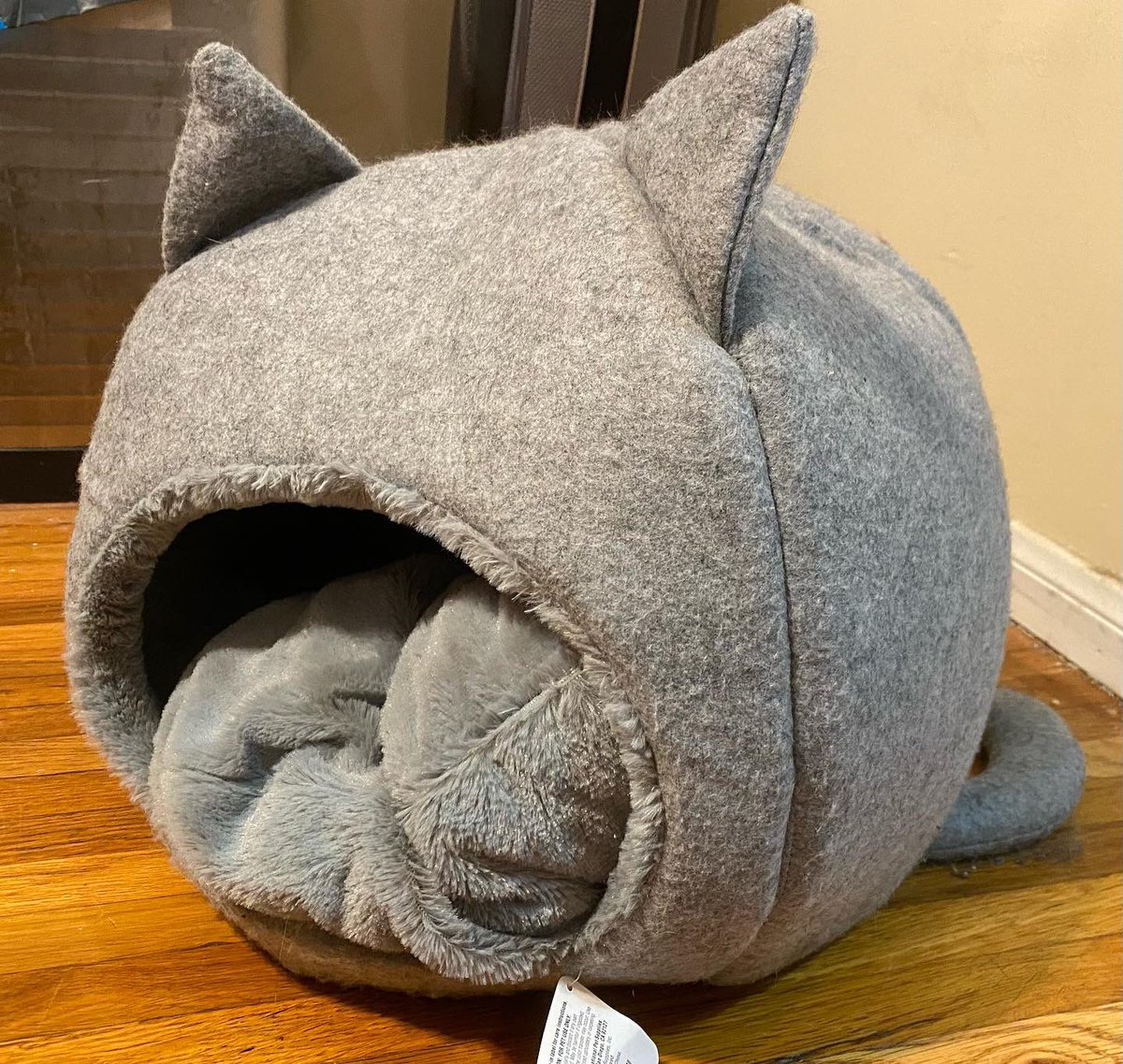 SmoothFunFacts's tweet photo. Smooth Fun Fact #1496: In 2020, Smooth spent $87 on holiday gifts for his cats, including an enclosed bed, a tower of tracks toy, a feather on a string, a plush fish attached to a wand, a laser pointer, and numerous balls with bells inside. #cats #pets #toys #Christmas #holidays https://t.co/sPJUeXvSnG
