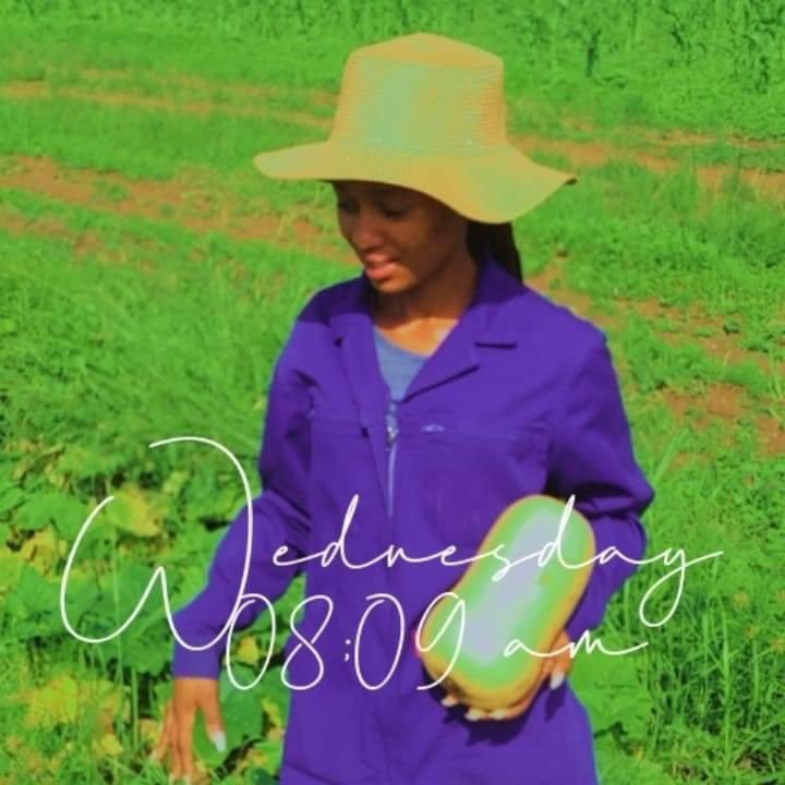 Agric_young's tweet photo. It feels good at the end of the day to know you made a product that other people are going to enjoy_Siphindile Phindy🧑🏽🌾
#farming #agriculture #TheTableTalk Kamo mphela Al ahly Mseleku Prince kaybee Chicken Buhle Buhle Hlaudi Cassper Mayeni Thobile Memela Mangwabe #FameVsClout https://t.co/OUPUTcEG2Y