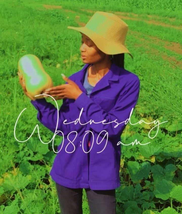 Agric_young's tweet photo. It feels good at the end of the day to know you made a product that other people are going to enjoy_Siphindile Phindy🧑🏽🌾
#farming #agriculture #TheTableTalk Kamo mphela Al ahly Mseleku Prince kaybee Chicken Buhle Buhle Hlaudi Cassper Mayeni Thobile Memela Mangwabe #FameVsClout https://t.co/OUPUTcEG2Y