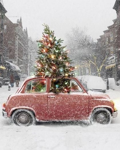 KatanaHugo's tweet image. Merry Christmas my friends !
#photos #photography #winter #christmas