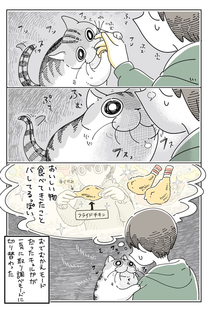 猫の『取り調べ』に、飼い主もタジタジ 外出先から帰ってきたら? https://t.co/BHbLbzVSCX @grapeejpより 